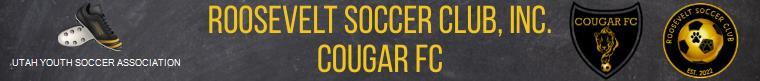 Cougar FC banner